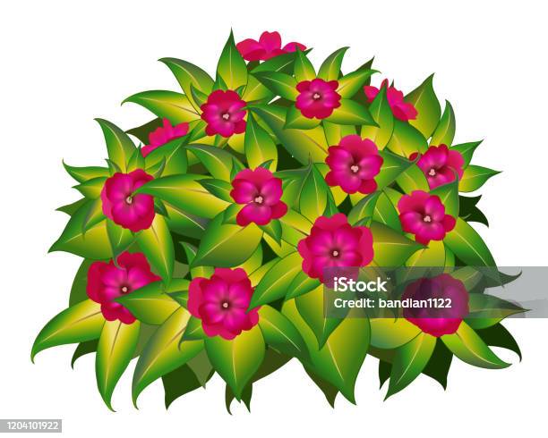 Ilustración de Hermosa Flor Roja Hiedra Planta Dibujos Animados y más  Vectores Libres de Derechos de Alegre - Alegre, Amarillo - Color, Blanco -  Color - iStock