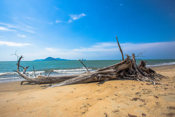istock USA, Atmospheric Mood, Awe, Backgrounds, Beach 1204106426
