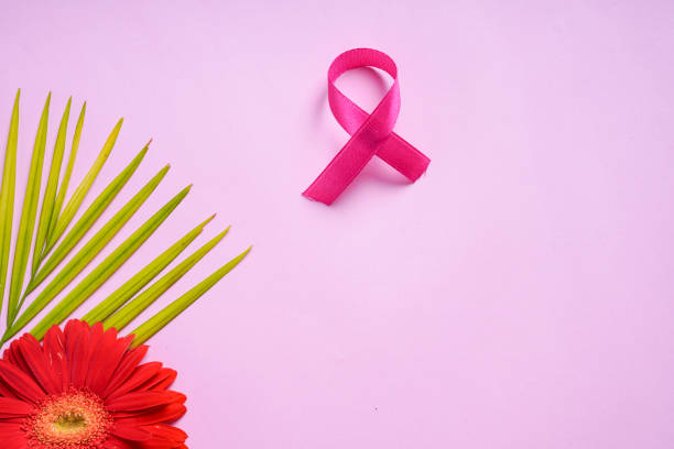 istock Women's day concept, Flower with copy space frame on pink background. 1204107662