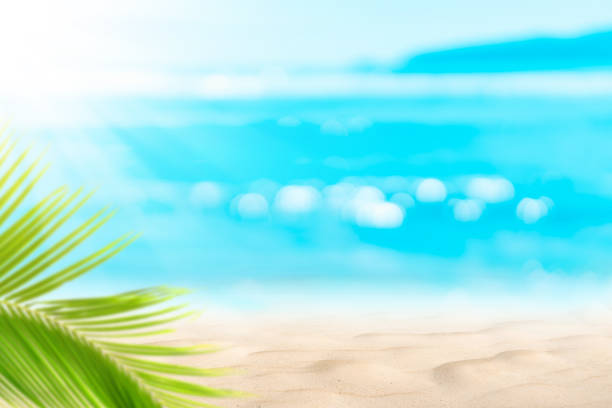 istock Blur beautiful nature green palm leaf on tropical beach with bokeh sun light wave abstract background. 1204109145