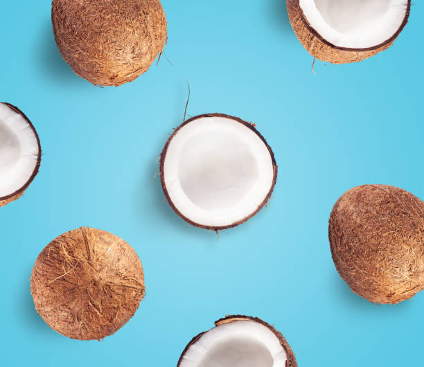 istock Creative layout made of coconut on blue background 1204109997