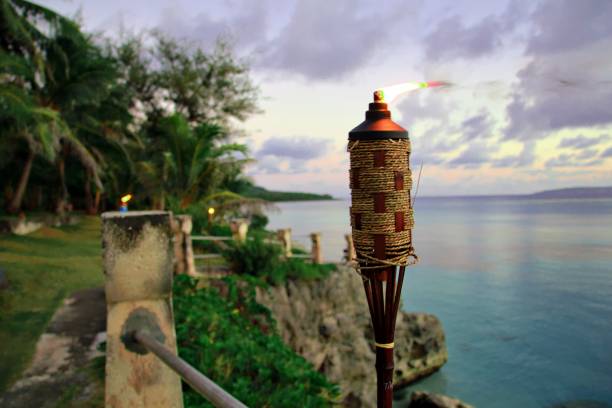 istock Lighted tiki torch on a cliffside by the beach 1204111205
