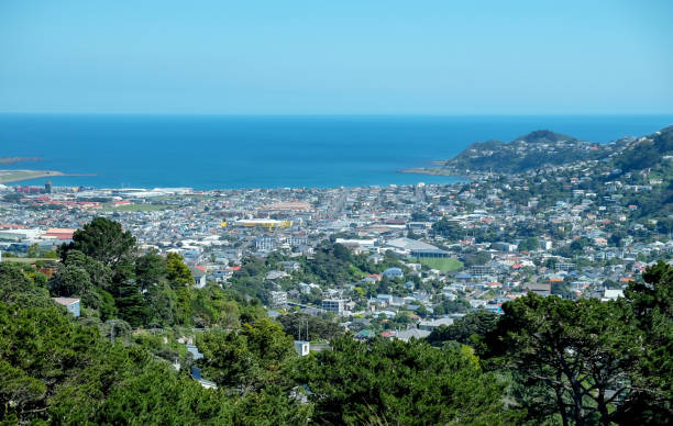 istock Wellington city view 1204114375