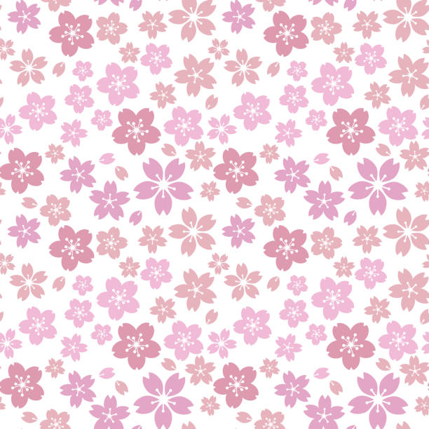 ilustrações, clipart, desenhos animados e ícones de padrão de flor de phlox de musgo.(rosa, roxo claro)imagem macia, doce e romântica - cherry blossom flower head spring flower