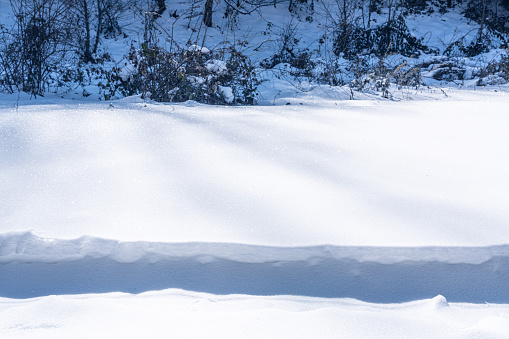 Snowdrifts in the winter forest