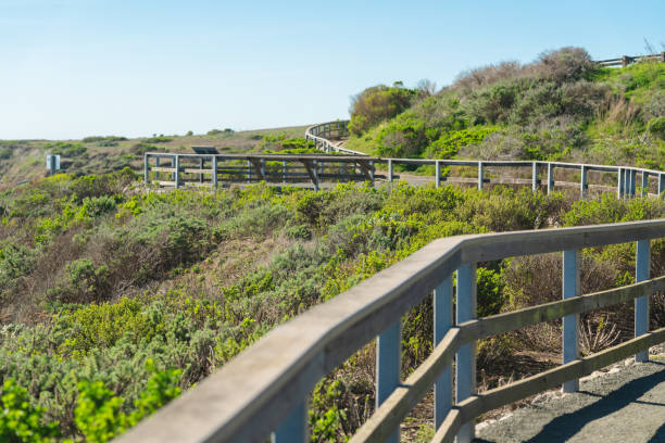 калифорнийская прибрежная тропа в государственном парке херст сан-симеон. тропа включает в себя живописные виды, скамейки отдыха и уникаль - san simeon стоковые фото и изображения