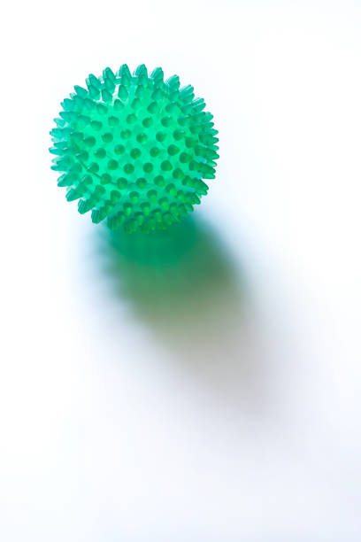 Close up 0f a green color rubber spike ball against white background