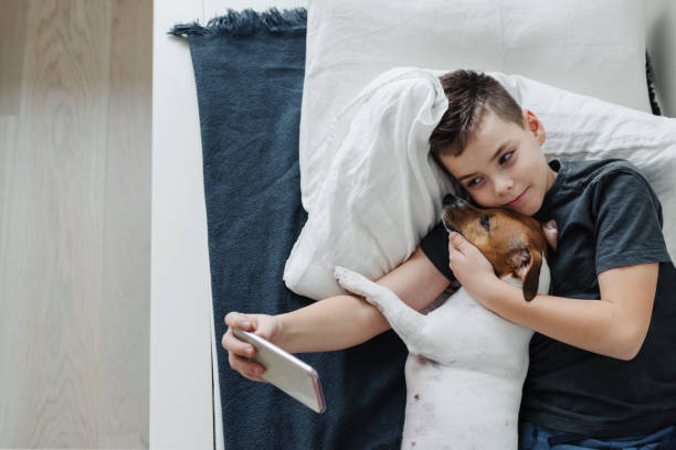 istock A young boy with a dog in a cozy interior. 1204120138