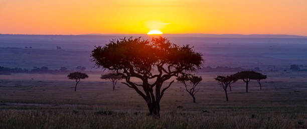 istock Masai Mara Sunrise 1204120260