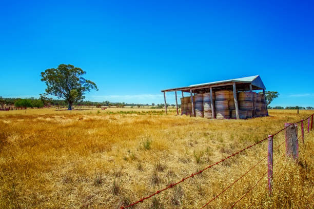 Hay shed in the field Rickety old hay shed on the farm bendigo photos stock pictures, royalty-free photos & images