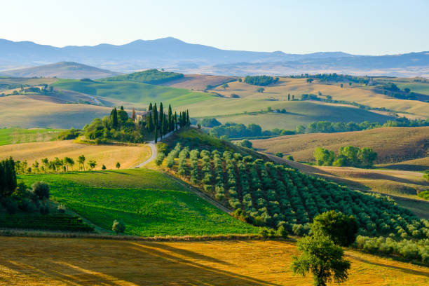 późne lato lotnicze krajobraz doliny w toskanii - tuscany landscape italy siena zdjęcia i obrazy z banku zdjęć