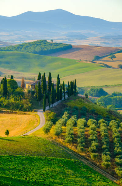 późne lato lotnicze krajobraz doliny w toskanii - pienza tuscany italy landscape zdjęcia i obrazy z banku zdjęć