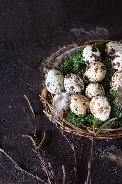 istock Alternative Easter background with small nest and quail eggs on dark brown stone background. Eco friendly Easter, zero waste. 1204123518