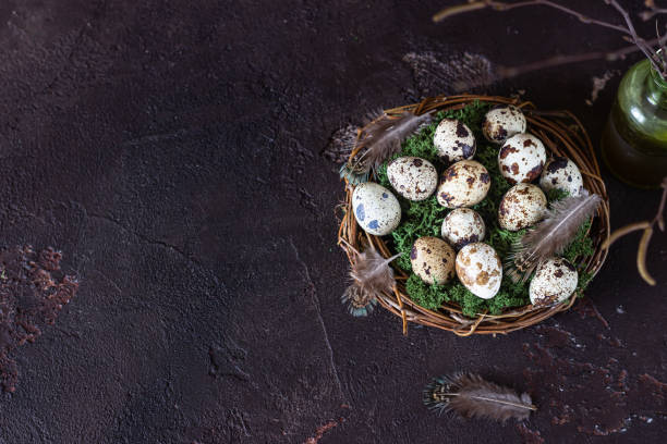 istock Alternative Easter background with small nest and quail eggs on dark brown stone background. Eco friendly Easter, zero waste. 1204123549