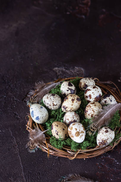 istock Alternative Easter background with small nest and quail eggs on dark brown stone background. Eco friendly Easter, zero waste. 1204123561