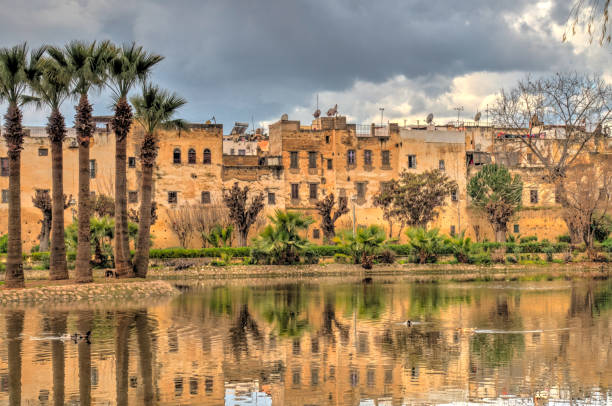 istock City Park in Fez, Morocco 1204126986