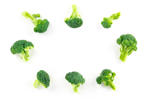 istock Broccoli florets, shot from the top on a white background, forming a frame with a place for text 1204128154