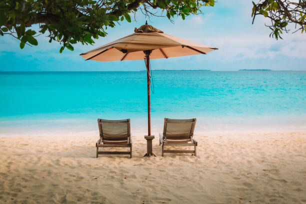 istock Two beach chairs on tropical sea vacation 1204132304