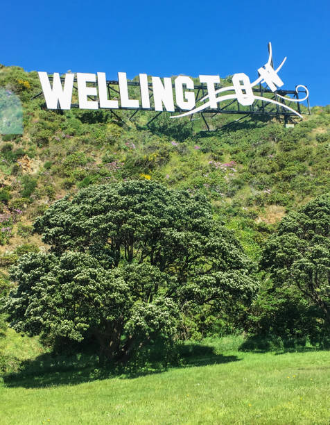 istock Wellington the wind city 1204134026