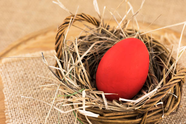 red easter egg nested in basket - easter eggs red imagens e fotografias de stock
