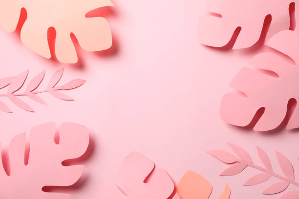 istock Decorative palm leaves on pink background, space for text 1204135847