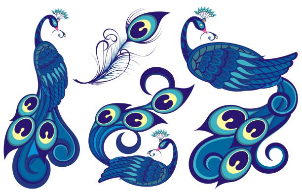 красивые павлины - pattern peacock multi colored decoration stock illustrations