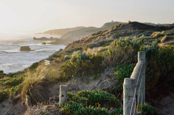 istock Mornington Peninsula, Australia 1204145440