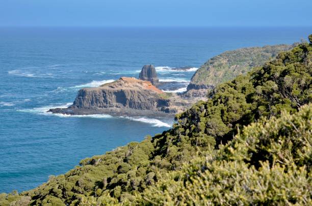 istock Mornington Peninsula, Australia 1204145453
