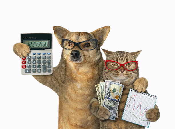 hund und katze sind banker 3 - hund grafiken stock-fotos und bilder