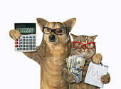 Dog and cat are bankers 3