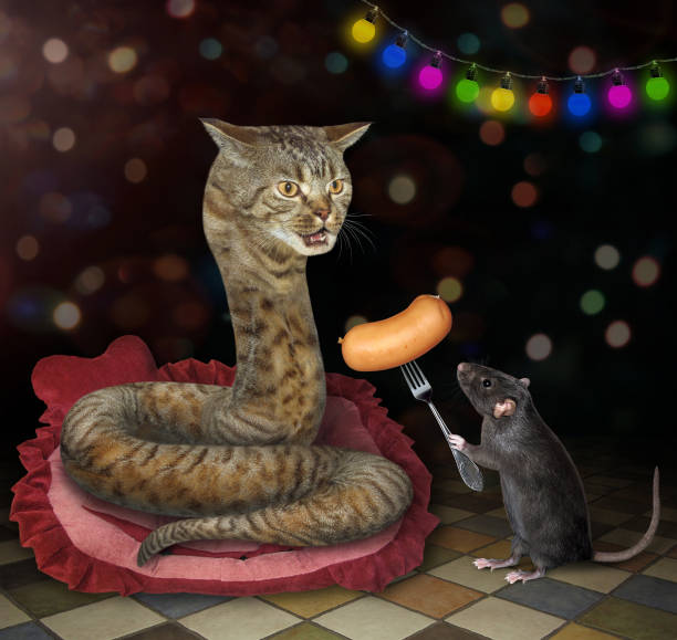 istock Rat gives sausage to cat snake 2 1204146553
