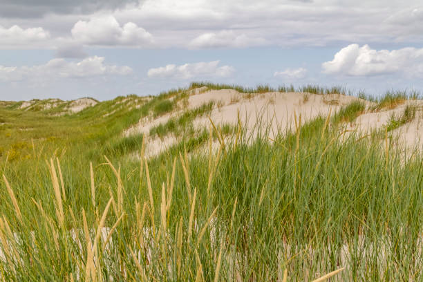 istock beach scenery at Spiekeroog 1204147596