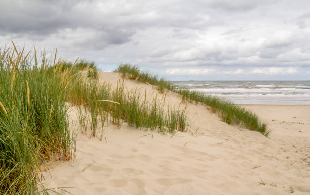 istock beach scenery at Spiekeroog 1204147858