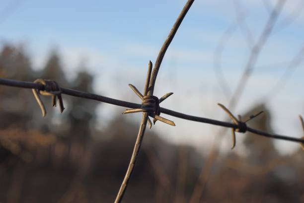 istock gray iron barbed wire in a fence on a street 1204149032