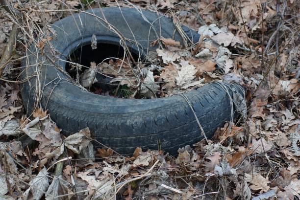 istock garbage from one black old tire overgrown with dry gray grass and fallen leaves 1204149130