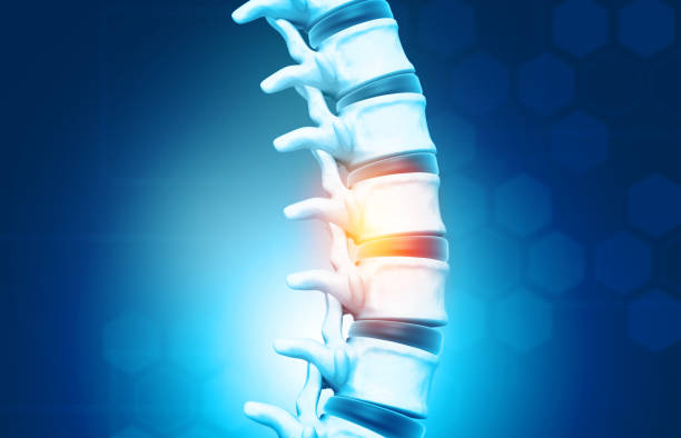 istock Human spine, vertebrae anatomy 1204149596