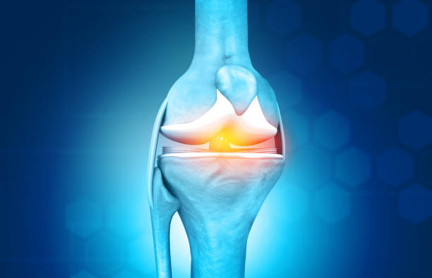 istock Anatomy of knee joint 1204149613