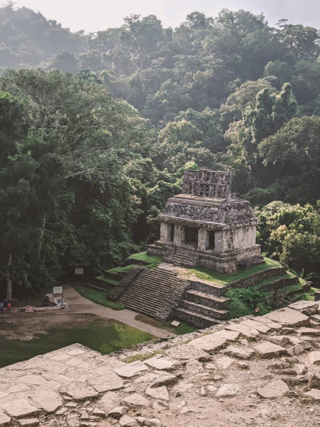 istock Mayan temple in Palenque, Mexico 1204150640