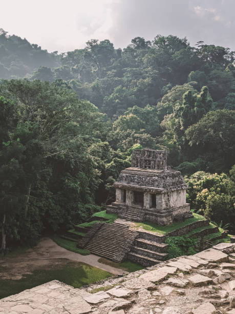 istock Mayan temple in Palenque, Mexico 1204150649
