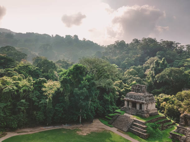 istock Mayan temple in Palenque, Mexico 1204150662