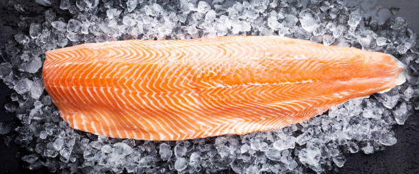 istock Raw salmon or trout sea fish 1204150853