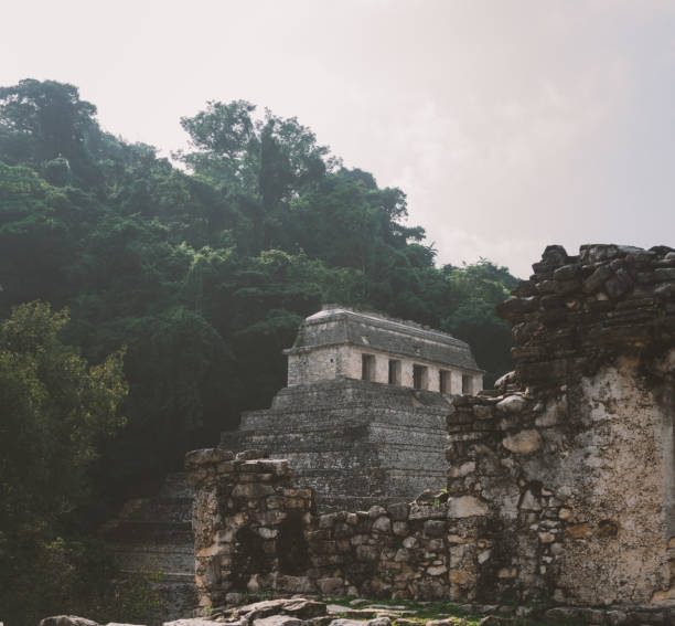 istock Mayan temple in Palenque, Mexico 1204152800