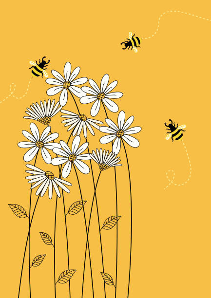ilustrações de stock, clip art, desenhos animados e ícones de floral background . - abelha ilustrações