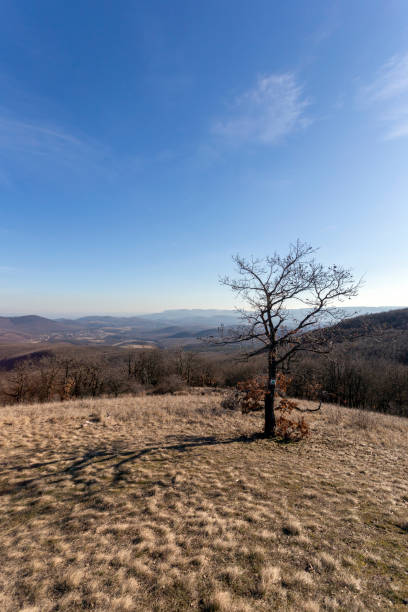 istock Borzsony mountain peaks view from the Nagy-Sas-hegy 1204156046