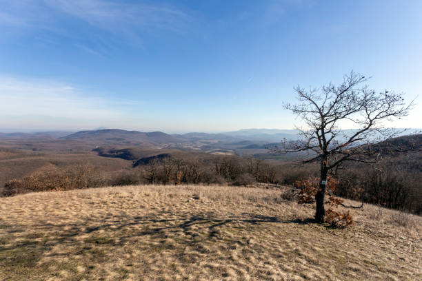 istock Borzsony mountain peaks view from the Nagy-Sas-hegy 1204156124