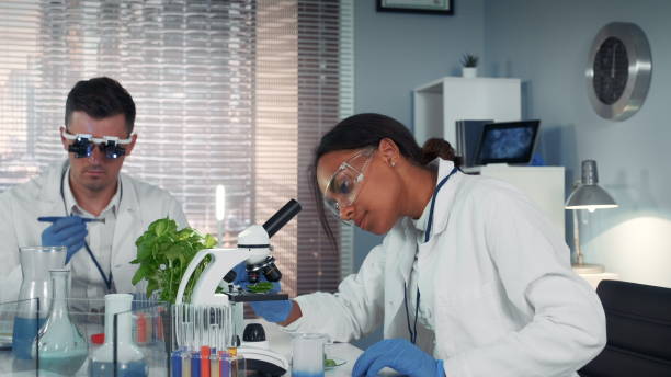 istock In modern research laboratory black female scientist looking at organic material under microscope 1204156914
