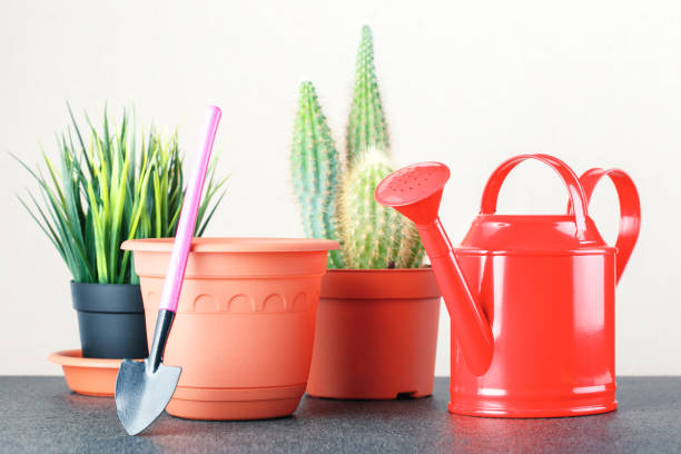 istock Home plants and gardening equipment on table. 1204157234