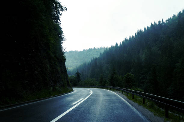 istock asphalt road that goes through a dark misterious pine forest 1204158532