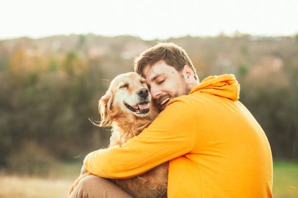 guy and his dog, golden retriever, nature - acariciar imagens e fotografias de stock