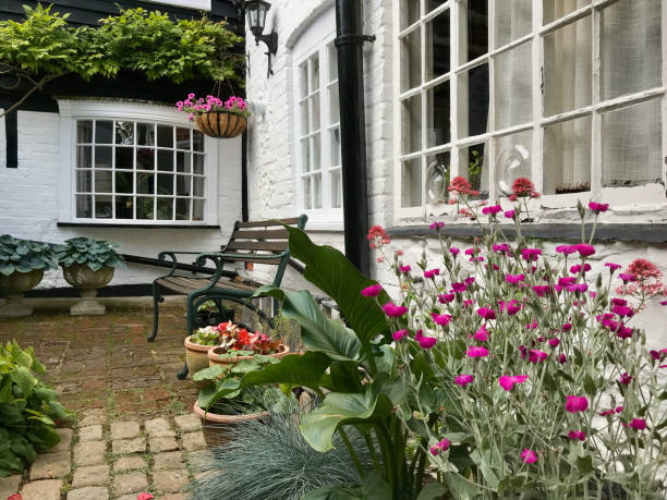 An English cottage garden through the seasons Amersham, UK - 2019: A cottage garden in Summer. The pictures are taken in July and feature variety of flowering plants growing 'vertically' against a house wall or garden fence amersham stock pictures, royalty-free photos & images